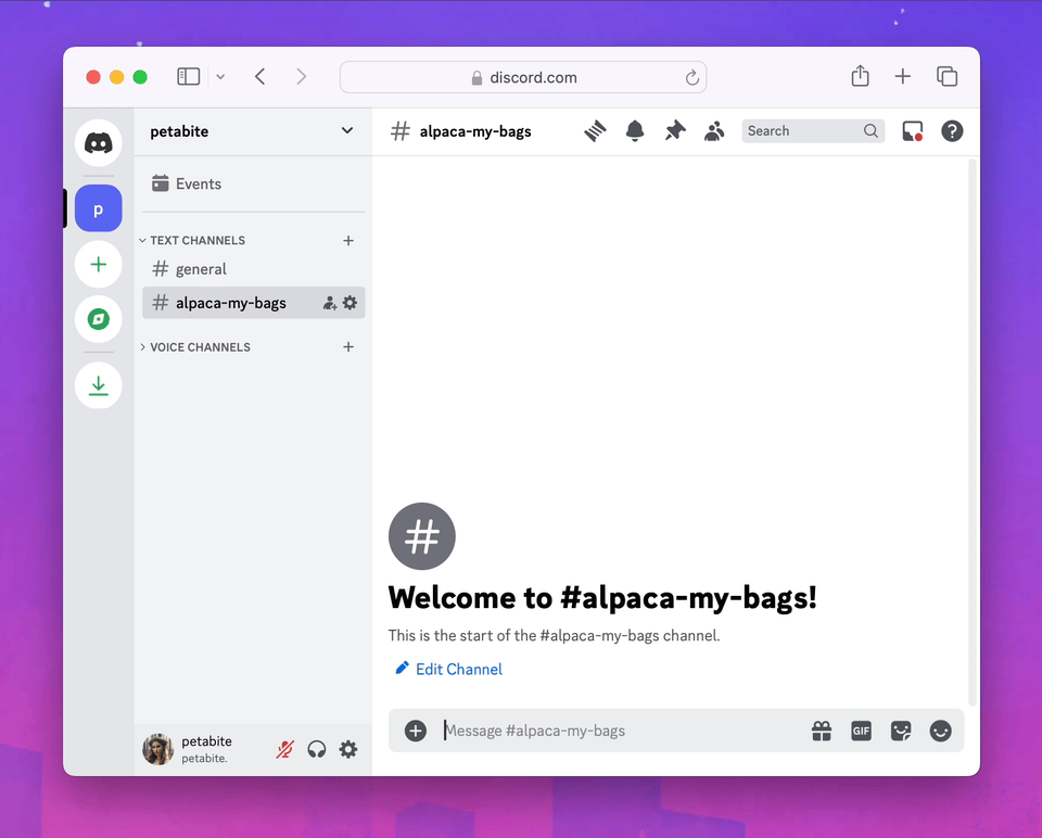 A dif demo run through showcasing the ability of the bot to generate images from Discord
