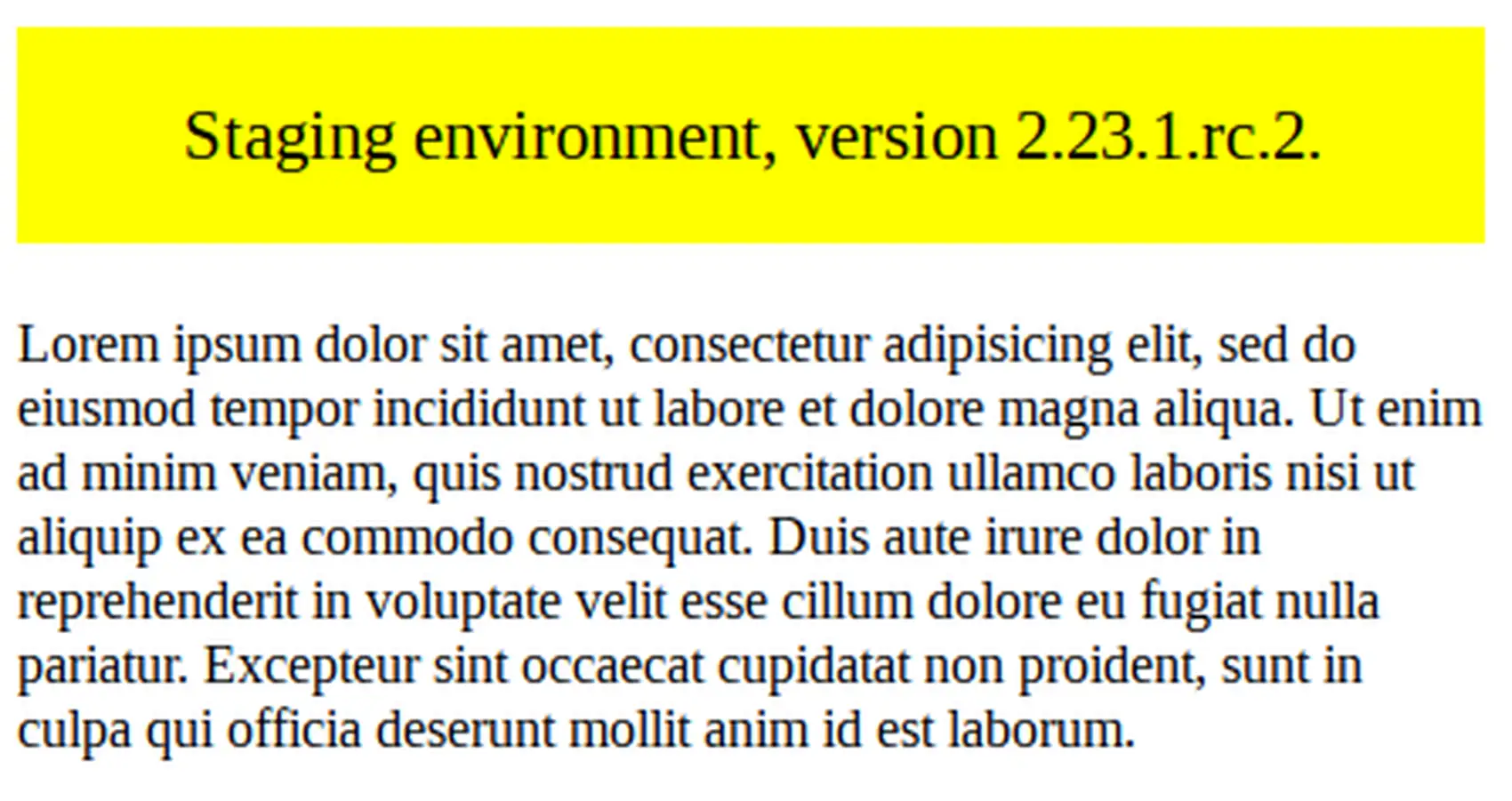 Development Environment